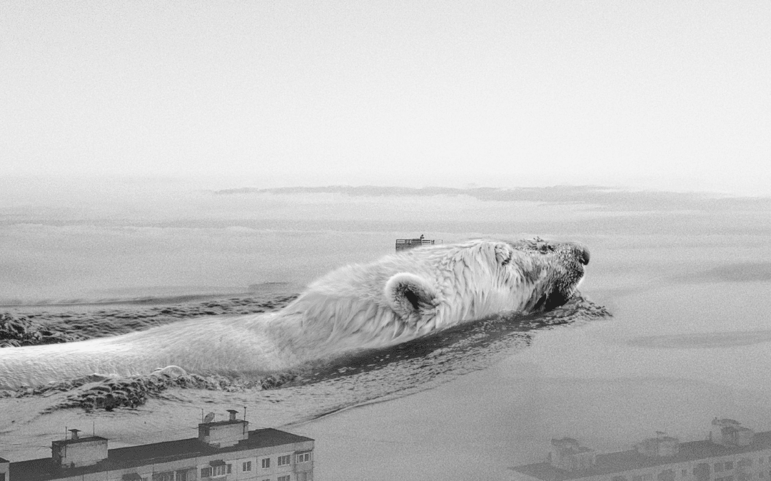 Surf Siberia
